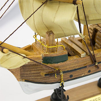 Mayflower 20cm