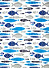 浅瀬のお魚